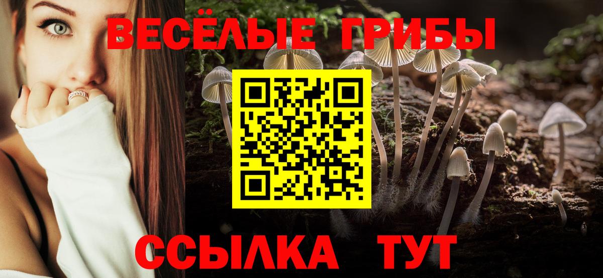 Псилоцибиновые грибы ЛСД Коркино